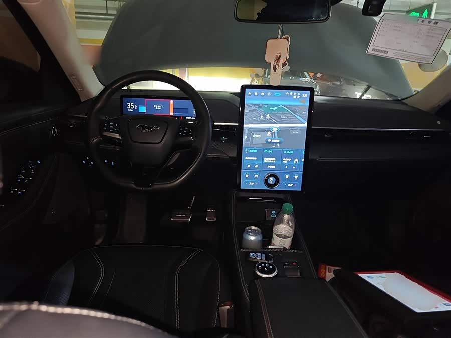 Ford Mustang Mach-E 2022 car image #11