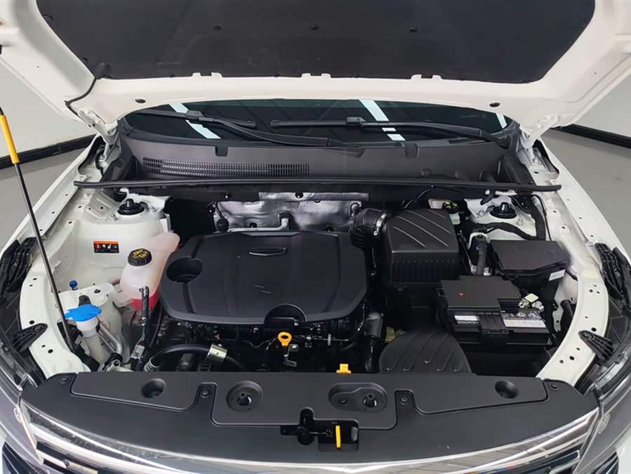 GEELY OkavangoPRO 2024 #11 GEELY OkavangoPRO 2024 car image #11