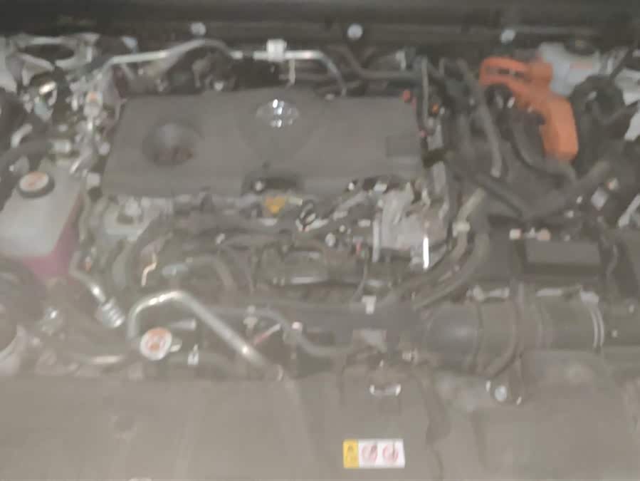 Toyota Wildlander New Energy 2021 immagine di auto #11