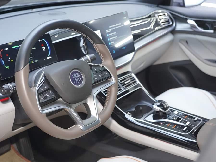 BYD Qin Plus 2024 immagine di auto #11