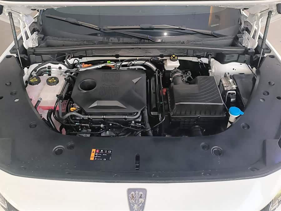 Roewe D5X DMH 2024 imagem de carro #11