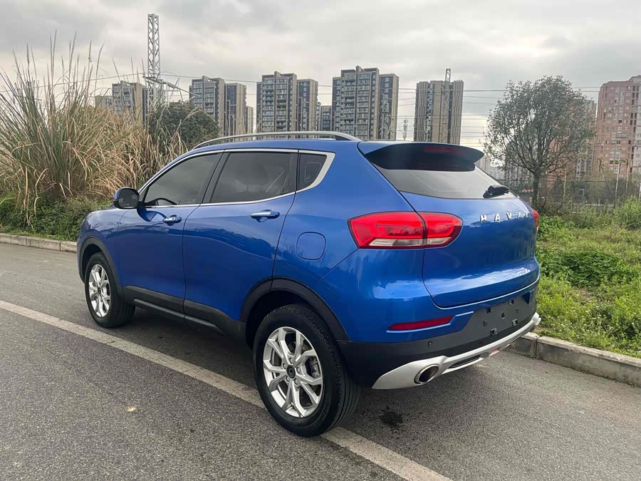 Haval H2s 2019 imagen de coche #11