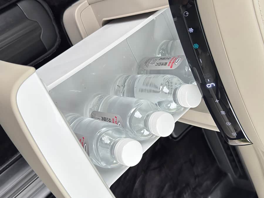 GAC Trumpchi Xiangwang M8 car image #11