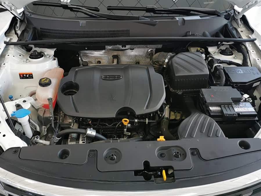 GEELY OkavangoPRO 2024 immagine di auto #11