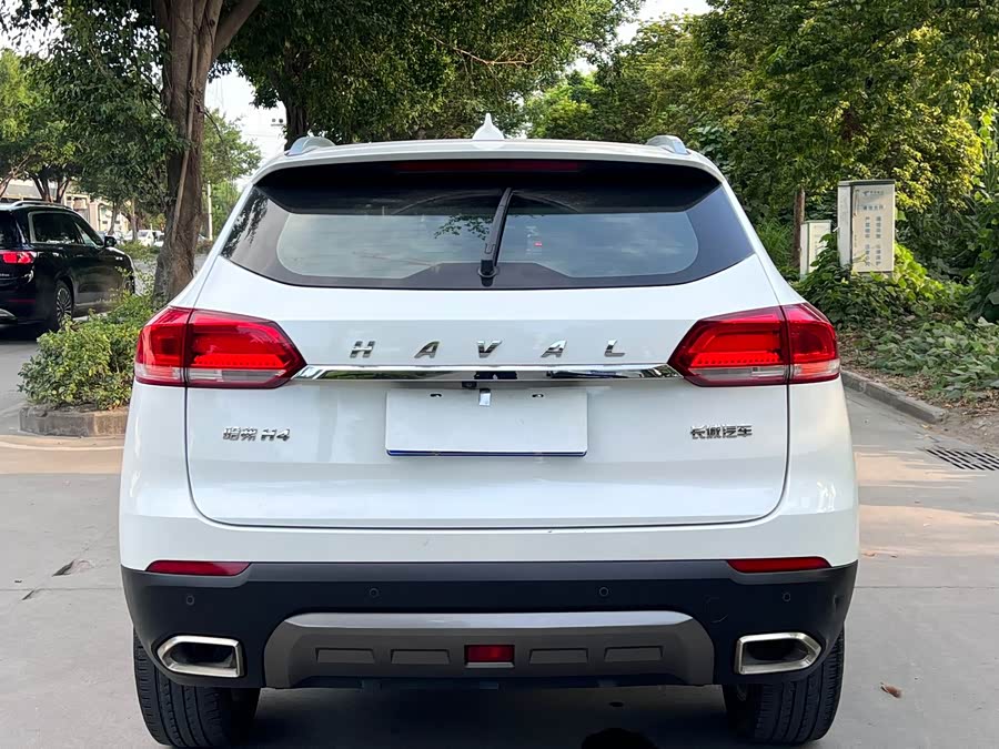 Haval H4 2019 #11 Haval H4 2019 car image #11