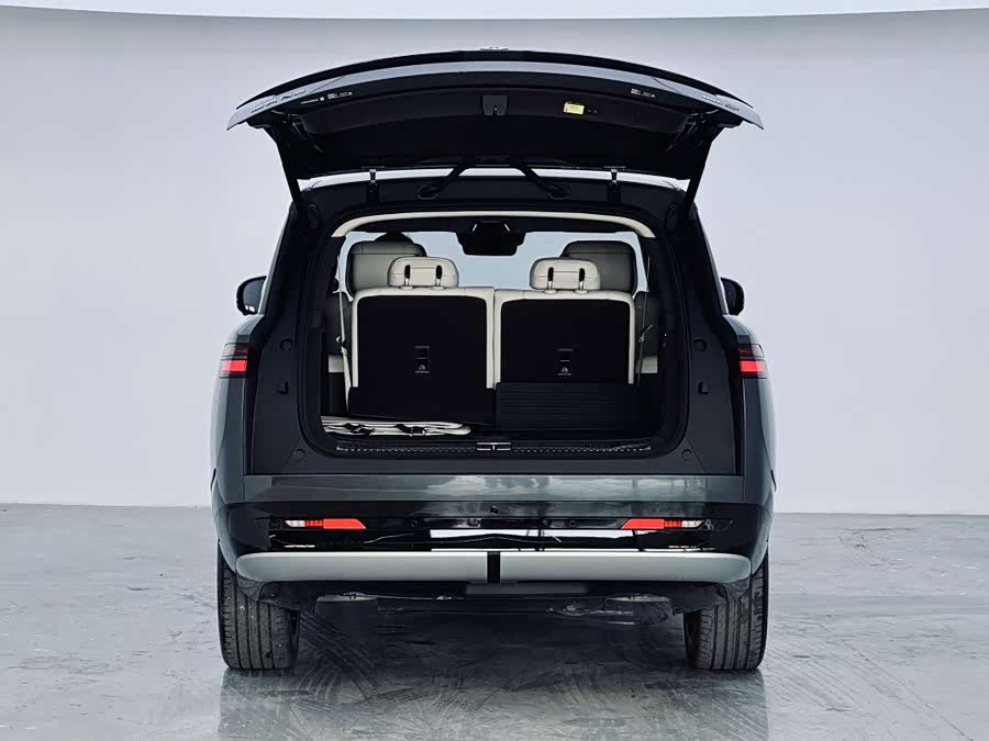 Denza N9 2025 car image #11