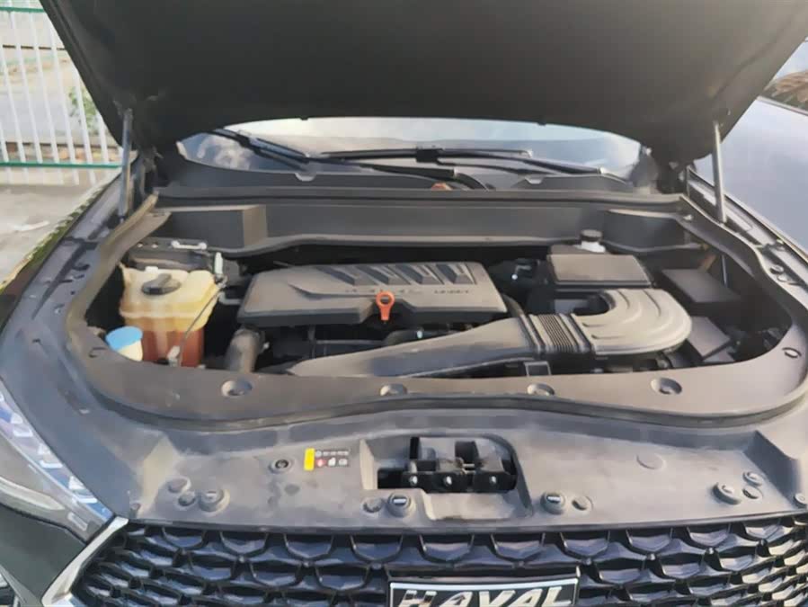 Haval F7x 2020 #11 Haval F7x 2020 car image #11