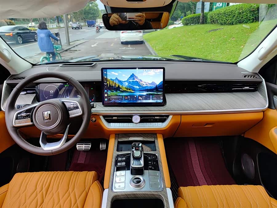 Tank 500 New Energy 2025 immagine di auto #11