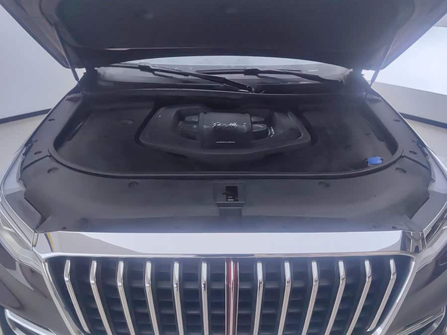 HongQi HS7 2021 #11 HongQi HS7 2021 immagine di auto #11