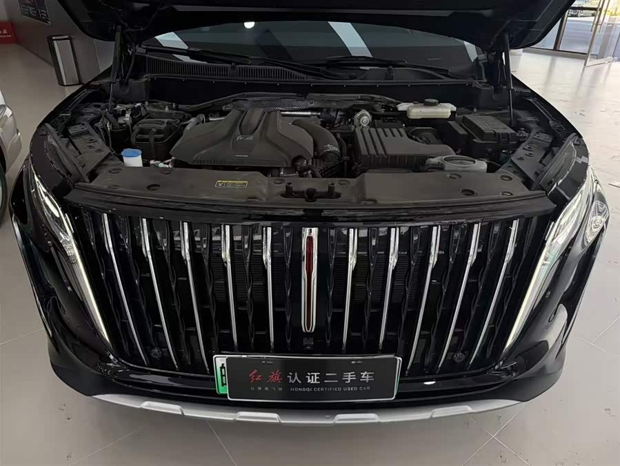 HongQi HS7 PHEV 2024 car image #11