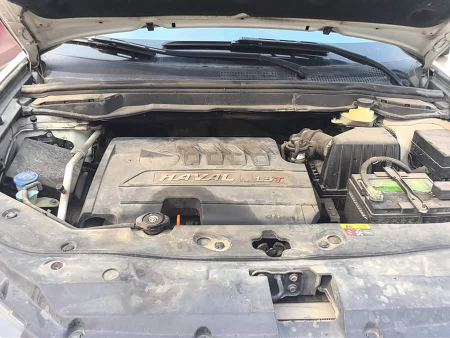 Haval H6 Coupe 2016 car image #11