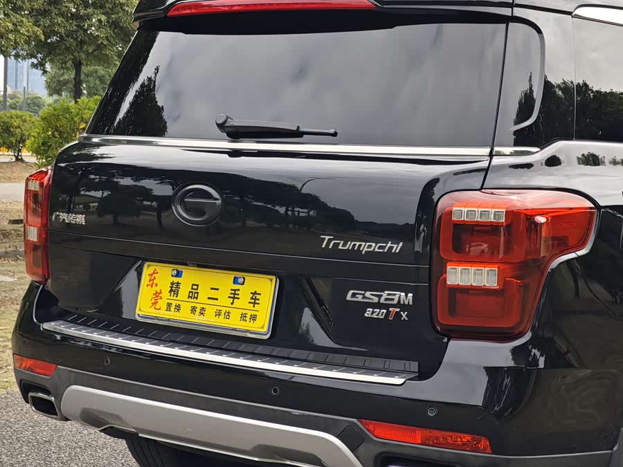 GAC Trumpchi GS8 2017 car image #11
