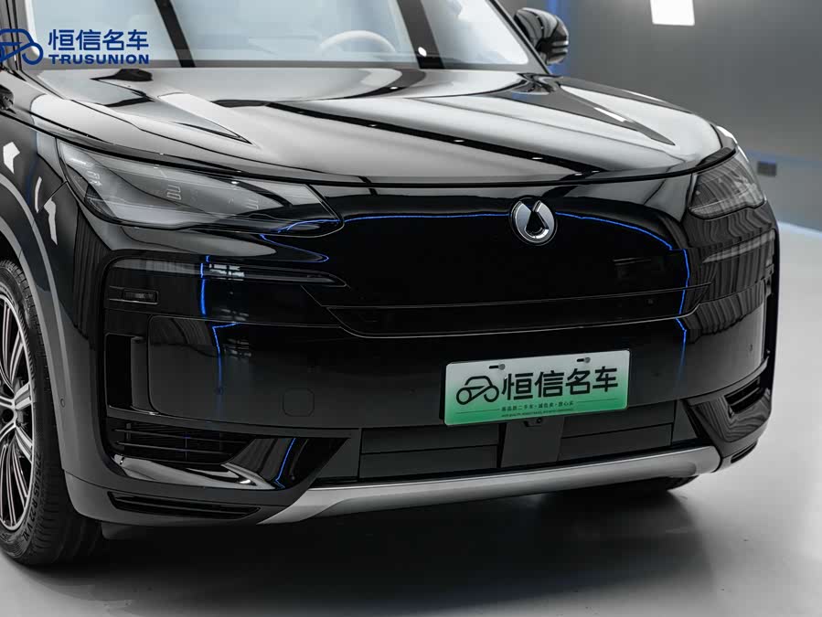 Denza N9 2025 car image #11