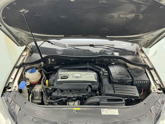 Volkswagen Magotan (Imported) 2014 immagine di auto #11