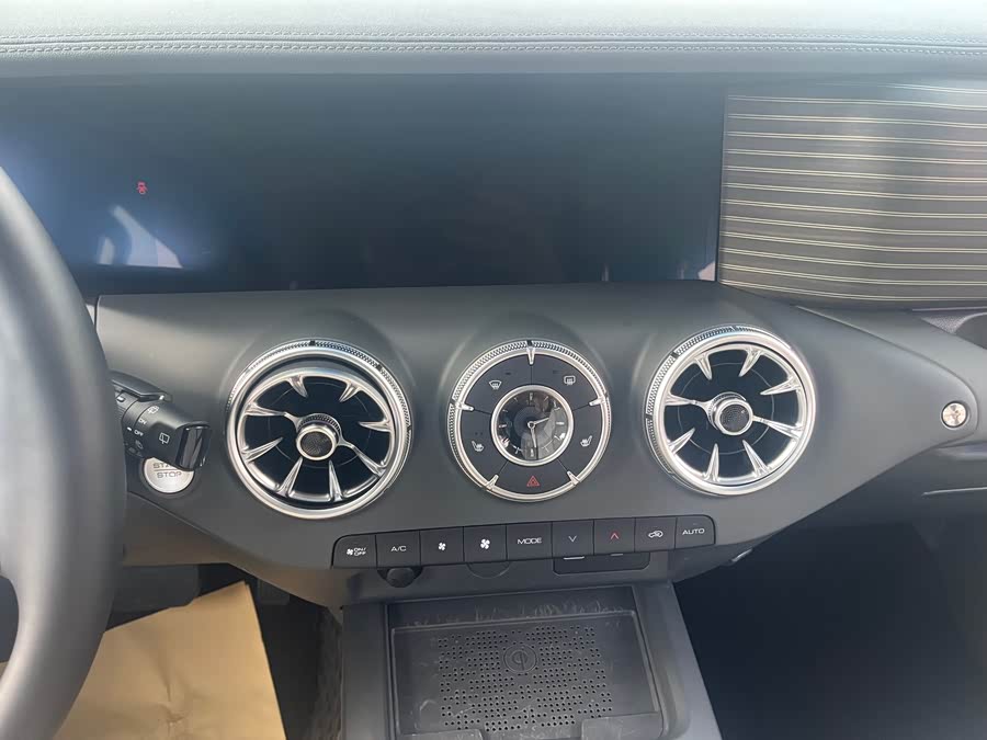 Tank 300 New Energy 2024 car image #11