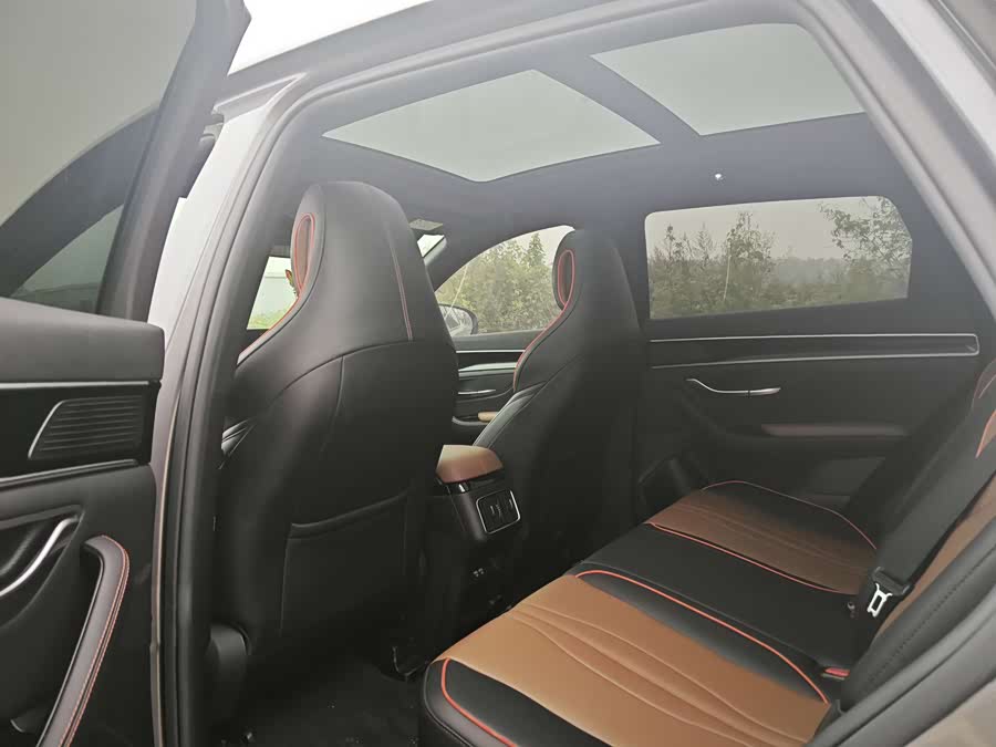 BYD Song Plus 2021 #11 BYD Song Plus 2021 immagine di auto #11