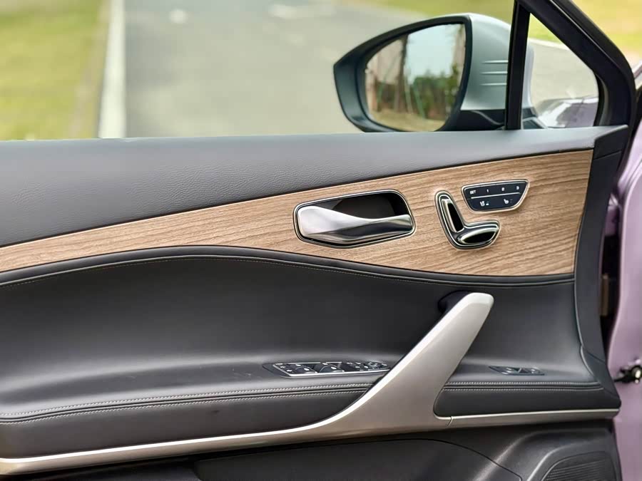 Denza X 2020 #11 Denza X 2020 imagem de carro #11