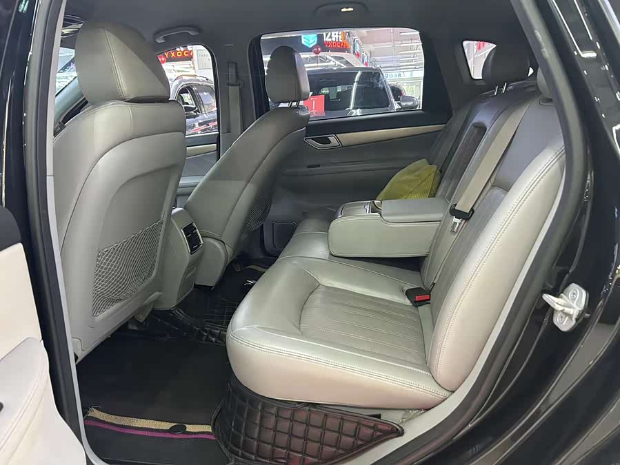 Denza DENZA 2018 imagem de carro #11