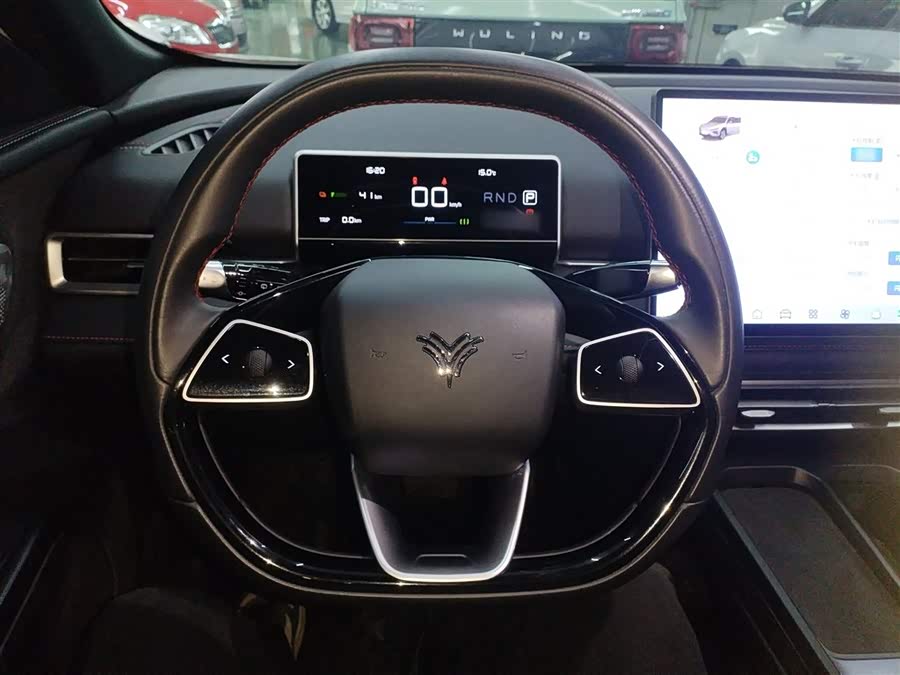 Neta X 2024 imagem de carro #11