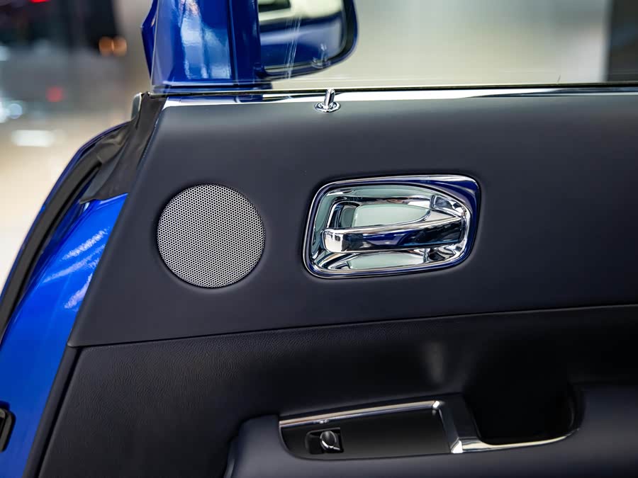 Denza Wraith 2020 car image #11