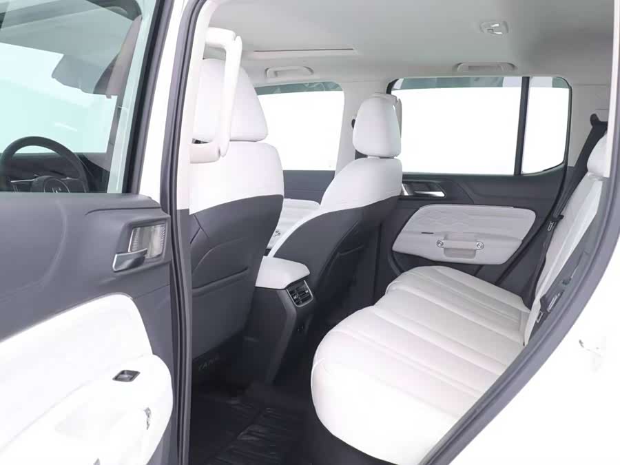 Tank 300 New Energy 2024 #11 Tank 300 New Energy 2024 immagine di auto #11