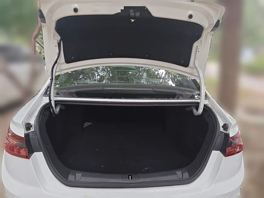 睿蓝汽车 枫叶60s 2023 汽车图片 #11