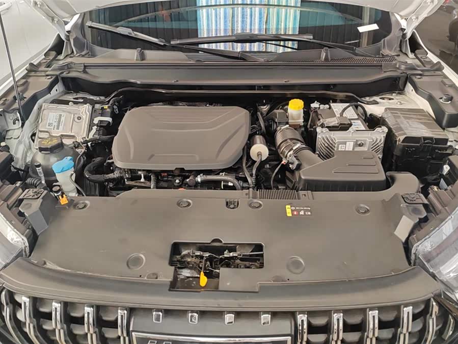 Haval Rabbit 2021 immagine di auto #11