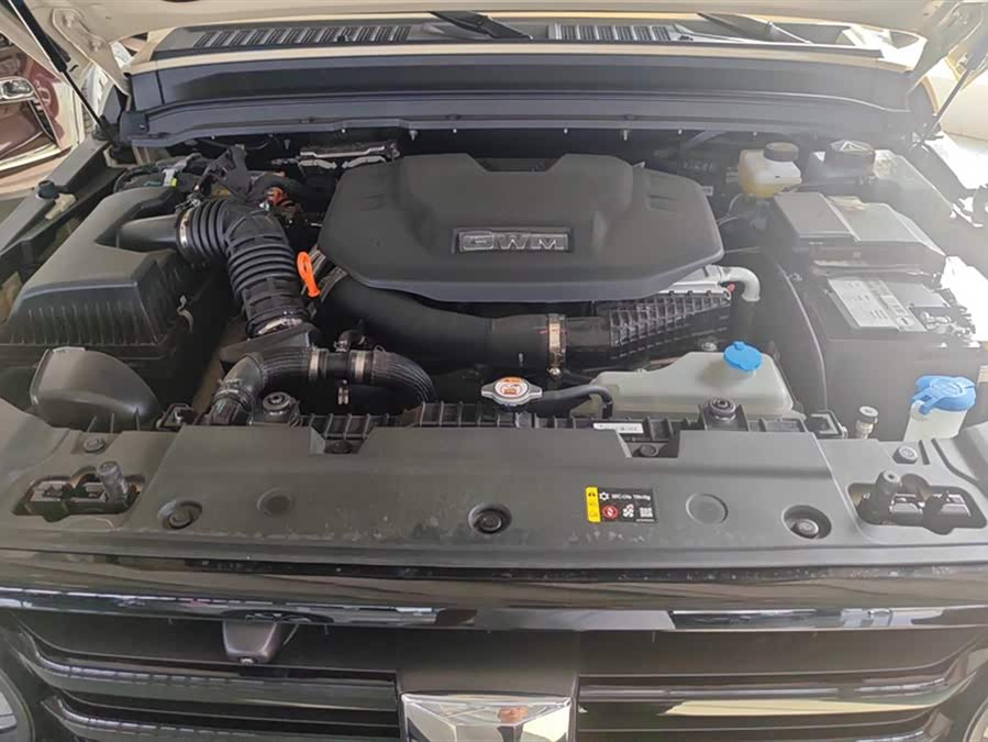 Tank 300 New Energy 2025 car image #11