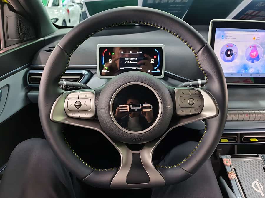 BYD Seagull 2024 car image #11