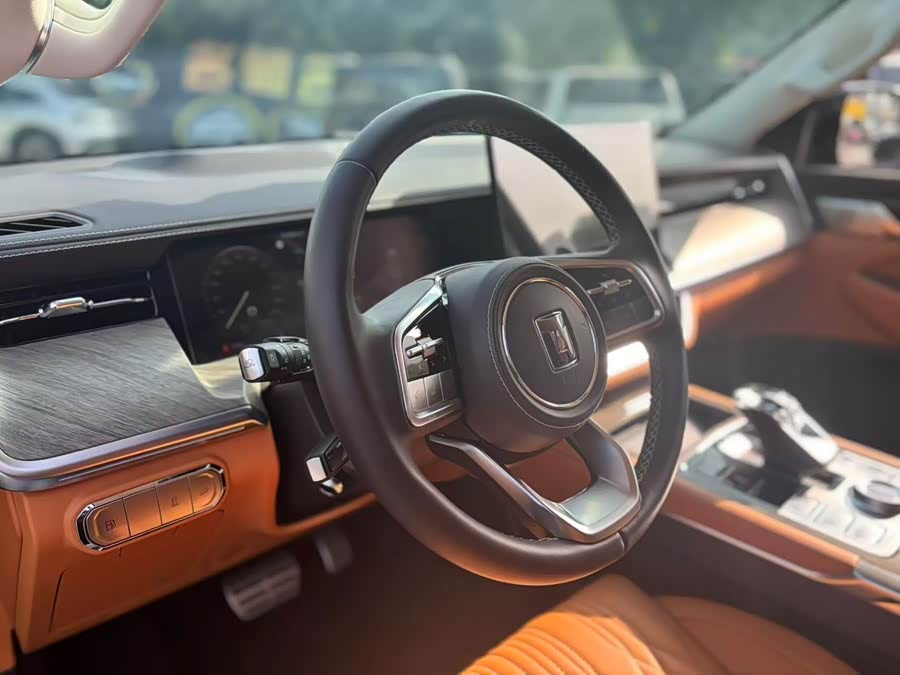 Tank 500 New Energy 2024 car image #11