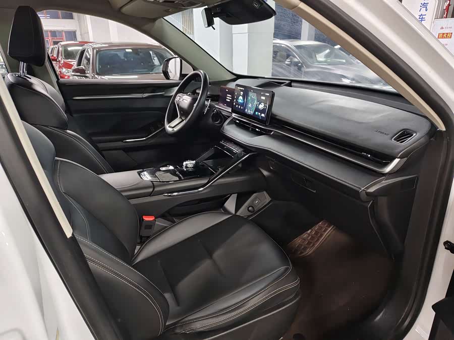 Haval H6 2021 car image #11