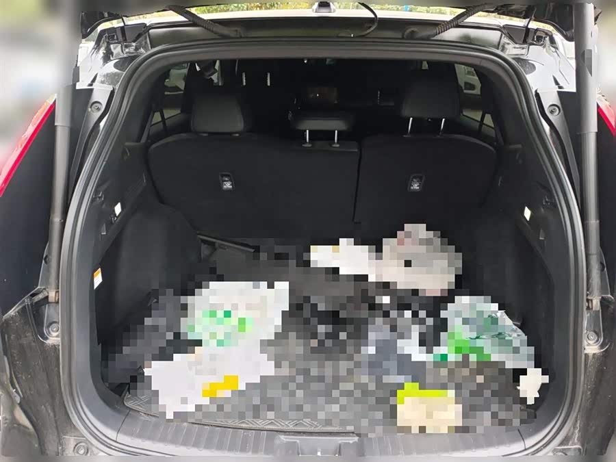 Honda CR-V New Energy 2024 car image #11