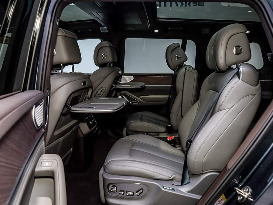 Denza N9 2025 imagen de coche #11