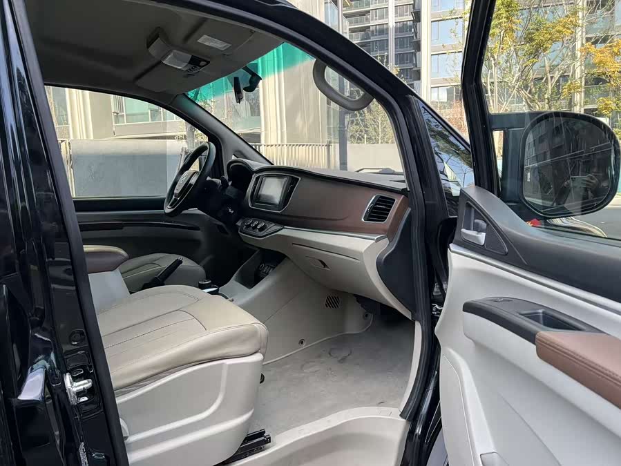 Forthing Lingzhi EV 2021 car image #11