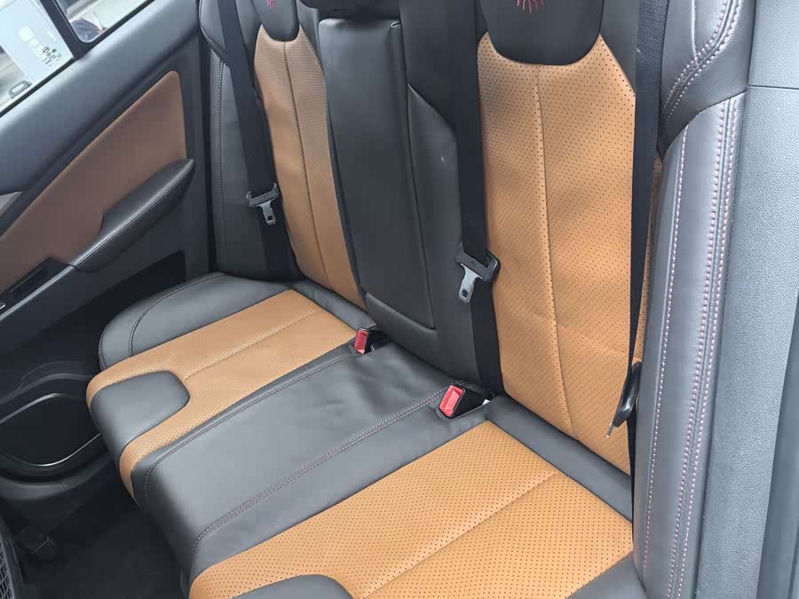 BYD Qin New Energy 2016 car image #11