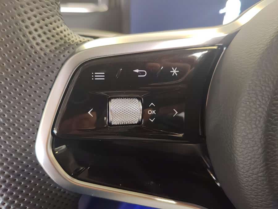 HongQi HS7 PHEV 2024 #11 HongQi HS7 PHEV 2024 car image #11