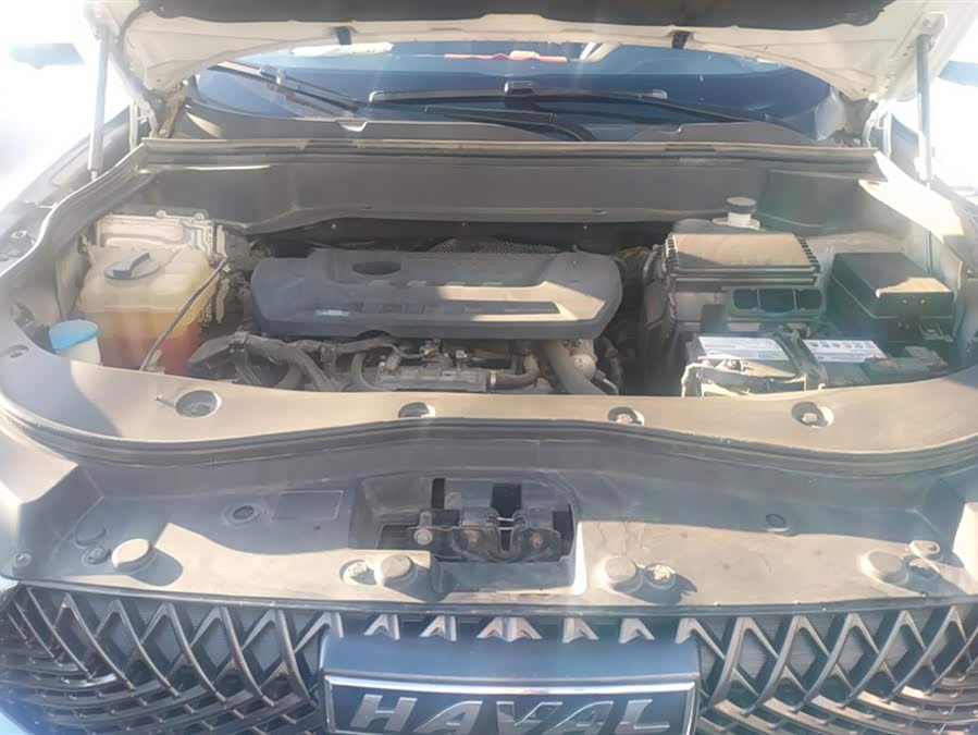 Haval F7x 2021 immagine di auto #11