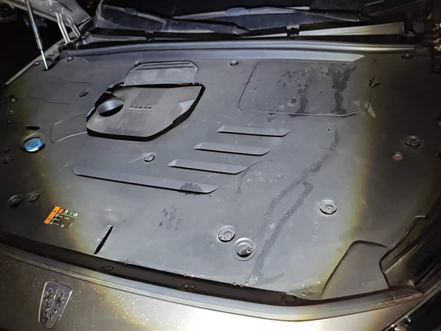 Roewe RX5 New Energy 2022 изображение автомобиля #11