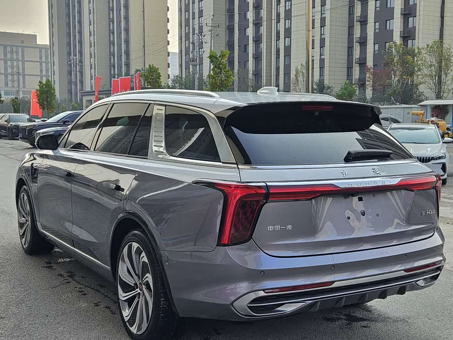 HongQi E-HS9 2021 صورة سيارة #11