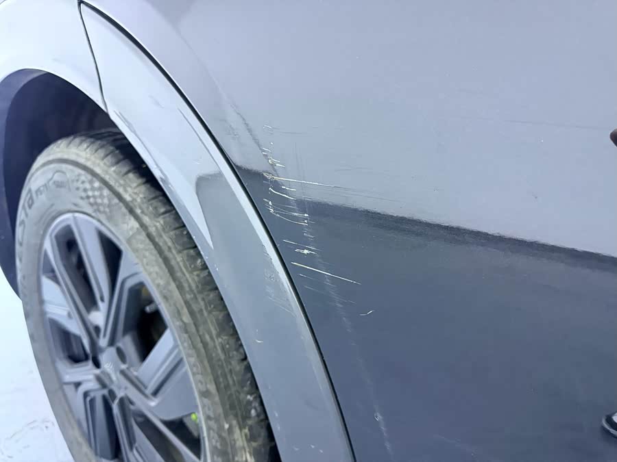 Neta U 2023 imagen de coche #11