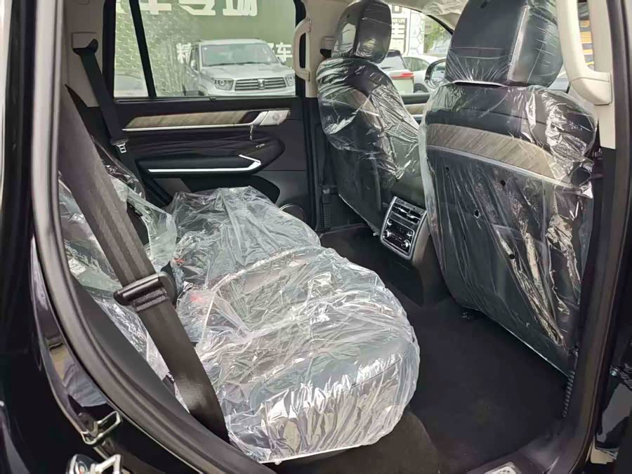 Tank 500 New Energy 2025 immagine di auto #11