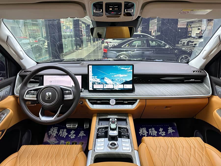 Tank 500 New Energy 2025 immagine di auto #11