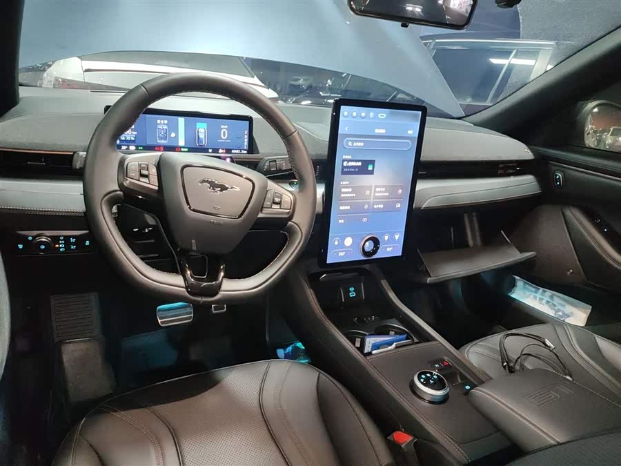 Ford Mustang Mach-E 2023 car image #11