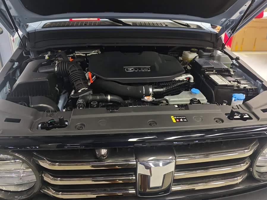 Tank 300 New Energy 2024 #11 Tank 300 New Energy 2024 car image #11