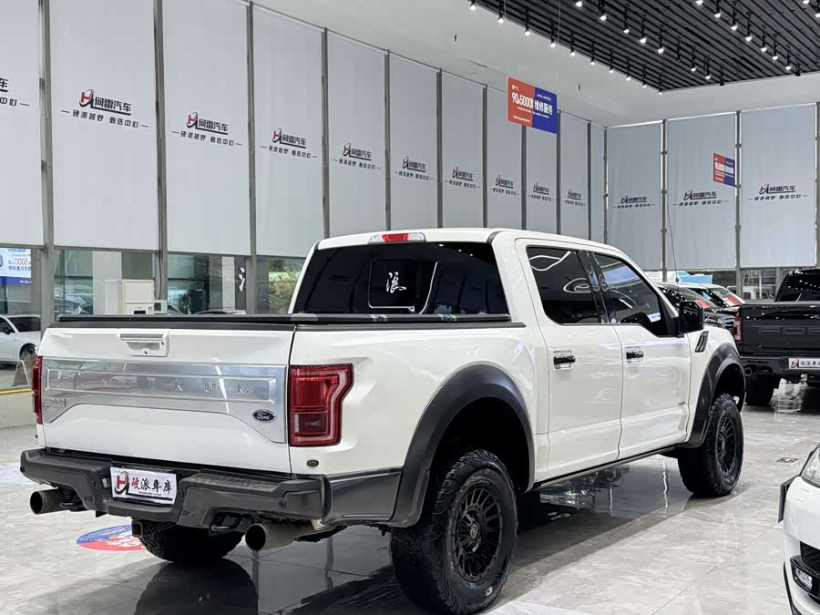 Ford F-150 Raptor 2016 car image #11