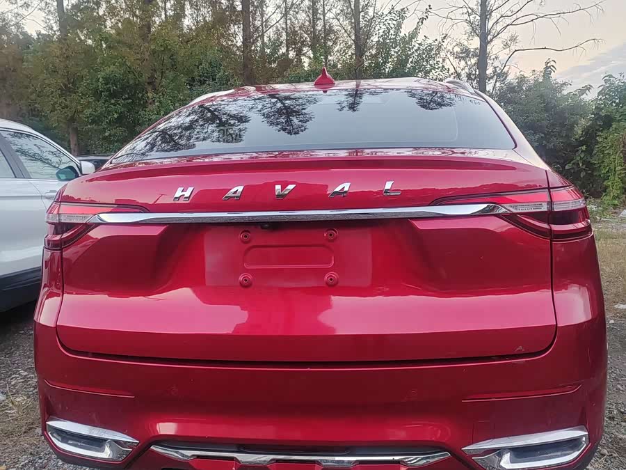 Haval F7x 2019 immagine di auto #11