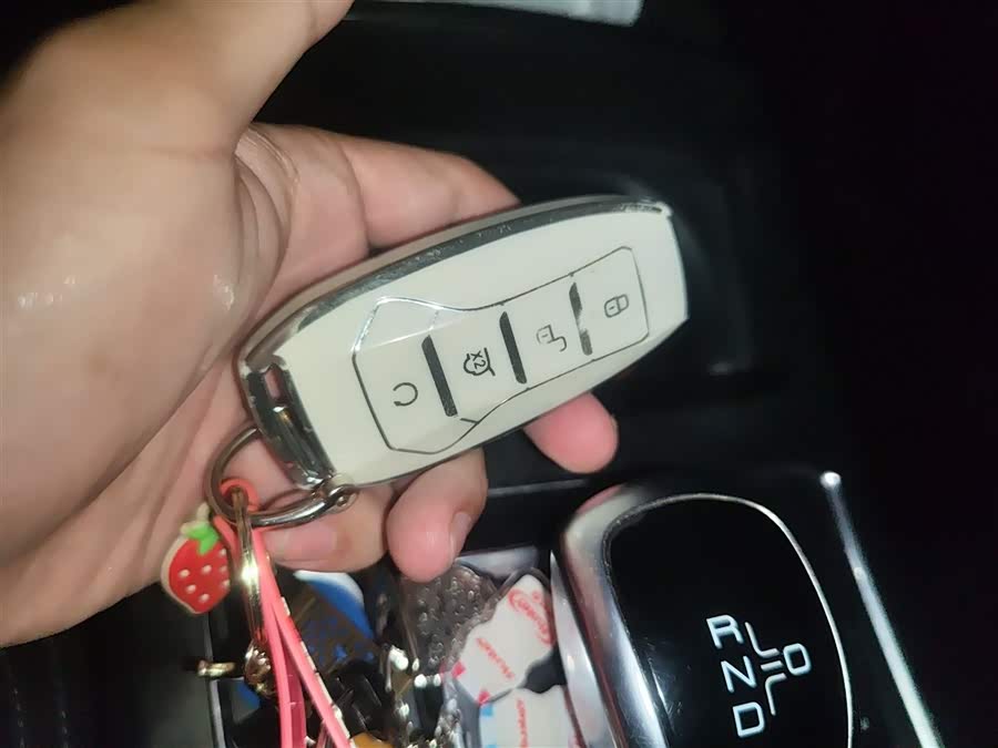 BYD Qin Pro New Energy 2019 #11 BYD Qin Pro New Energy 2019 car image #11