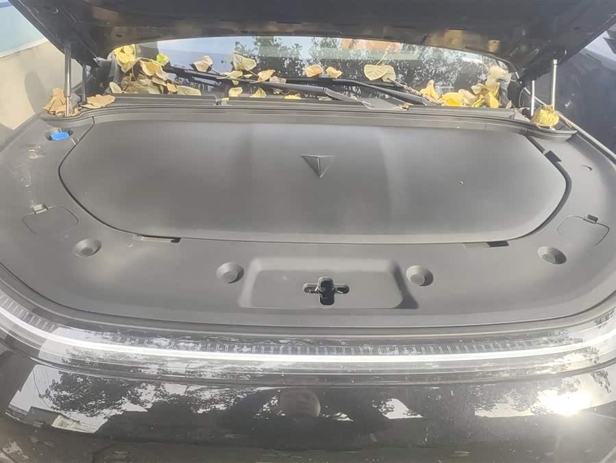 Deepal S09 2025 immagine di auto #11