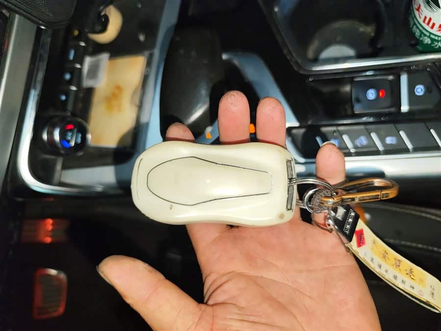 GEELY Tugella New Energy 2021 car image #11