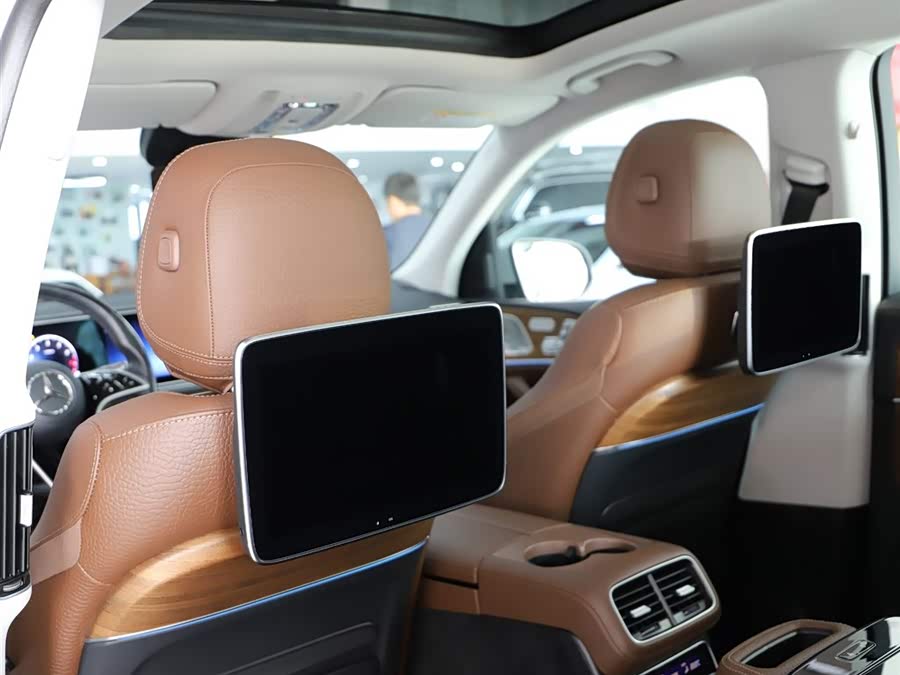 Mercedes-Benz GLS Class 2023 car image #11